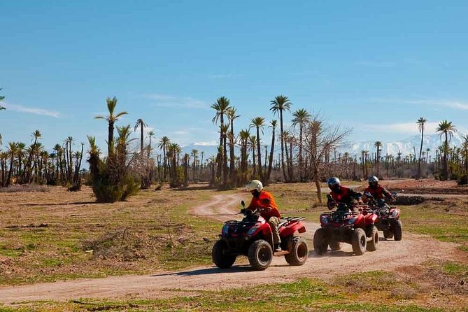 Majorelle Garden & Palmeraie Quad Biking: Marrakech Adventure