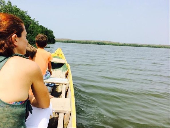 Mangroves Tour