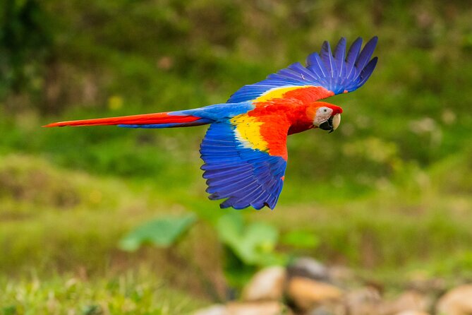 Manu Reserved Zone Tour From Cusco (6 Days)