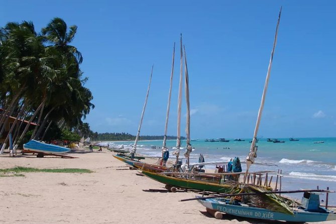 3 Best Full-Day Tours In Maceio