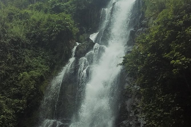 Marangu Waterfalls, Coffee Farm & Cultural Tour - Inclusions and Exclusions