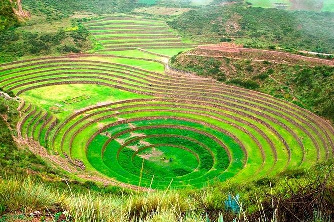 Maras Moray