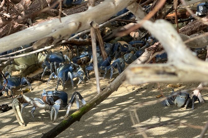 Maritime Adventure to Bahia De Cinto and Cristal Tayrona Beach