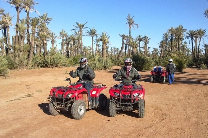 Marrakech Desert and Palm Grove Quad Bike Tour - Tour Highlights
