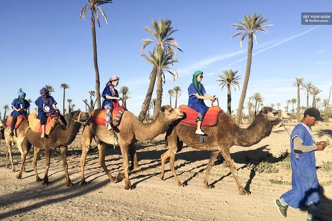 Marrakech: Half-Day Desert Quad & Camel Tour