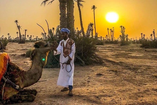 Marrakech Palmerie By Camel Ride - Cancellation Policy