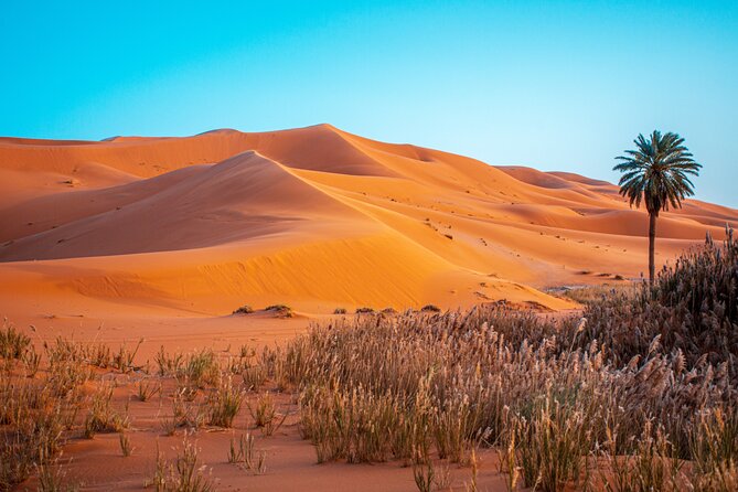 Marrakesh Quad Bike Adventure