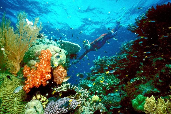 Marsa Alam From Hurghada (Abu Dabab)