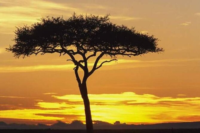 Masai Mara, Lake Nakuru and Lake Naivasha Multi-Day Tour - Itinerary Highlights