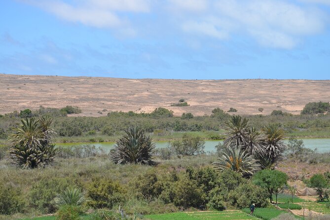 Massa & Small Desert Excursion From Agadir in Private With Lunch - Inclusions