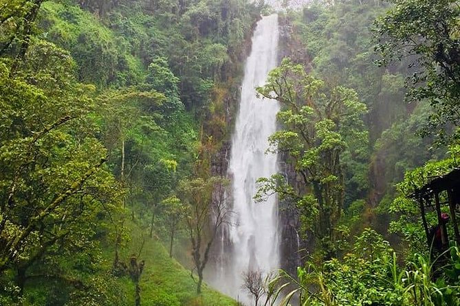 Materuni Waterfalls & Coffee Tour - Tour Location