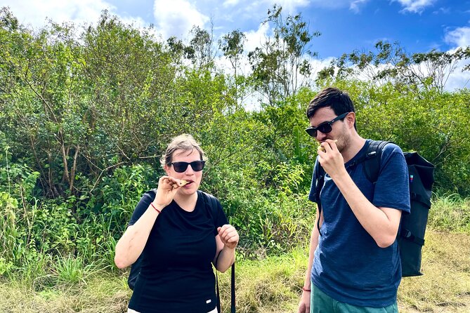 Mauritius:Iconic Hike Tamarind Falls by Best Local Guide +Pic Nic - Guide Details