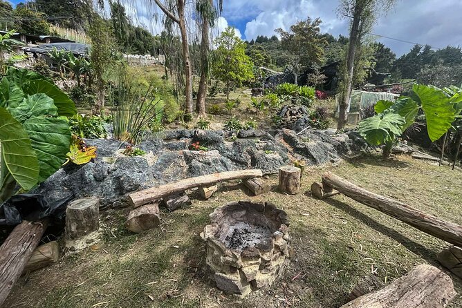 Medellin Arvi Park Bird Watching Forest Cabin
