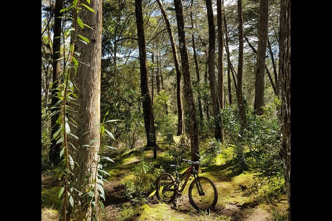 Medellin Mountain Bike: Old Railroad, Tunnels, and Bridges in Amaga - Activity Overview