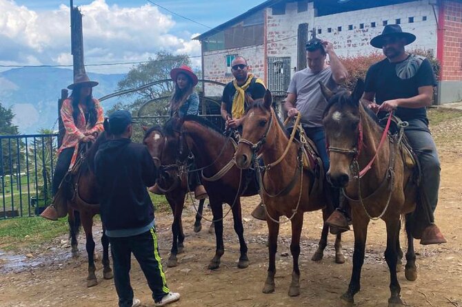 Medellin Night Skyline Horse Ride, Firecamp and Forest Cabin - Activity Description and Highlights