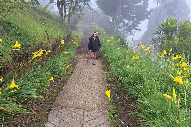 Medellín Private Tour With Waterfall Adventure Zipline & Hiking - Inclusions