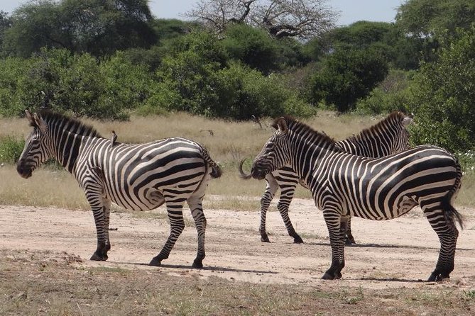 Memorable Day Trip – Lake Manyara National Park