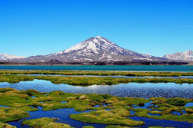 Mendoza Express 3 Days/ 2 Nights Mendoza City & Wine - Overview of Mendoza Express