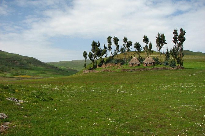 Menz Guassa Trekking 5 Days Tour Package