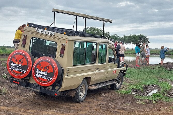 Mikumi National Park Day Trip Safari - Pickup and Transportation