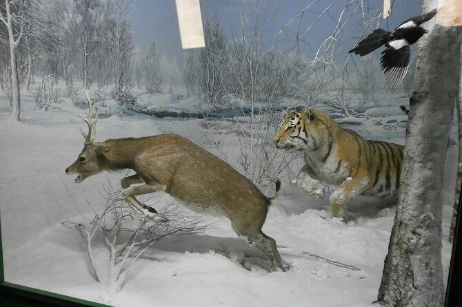 Milan: Natural History Museum Fast-Track Ticket + Audio Guide - Ticket Details