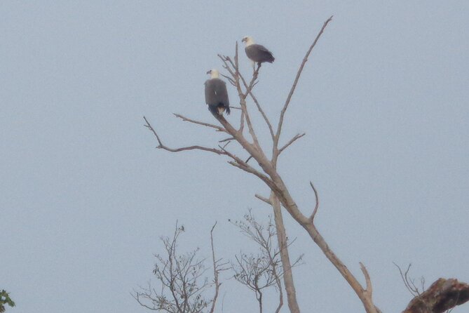 Minneriya National Park Private Safari From Habarana