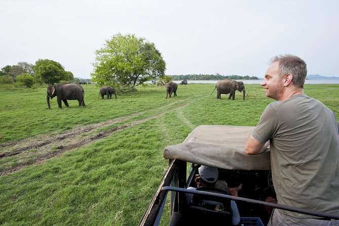 Minneriya Safari From Sigiriya Hotels (Jeep Only) - Lunch and Gratuities