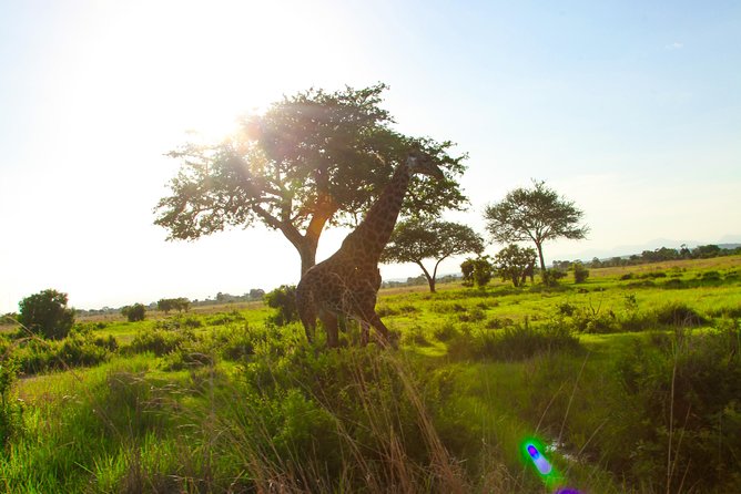 MKOMAZI - 4 Days - Inclusions and Exclusions