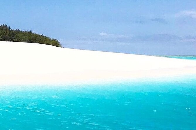 Mnemba Island Tour; Stone Town Tour; Jozani Forest Tour