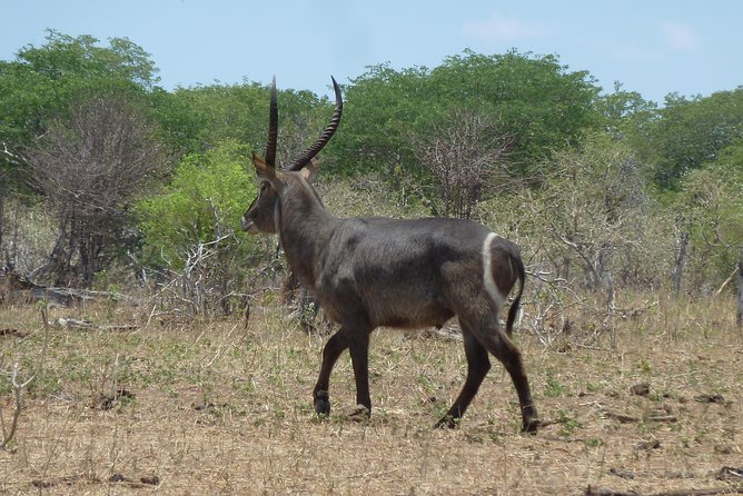 Mokoro Trail - Trail Location and Duration