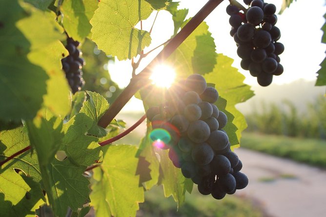 Moldova : WINE Tasting Tour to Winery Château Purcari - Location and Pickup Details