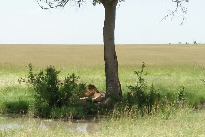 Mombasa and Diani Beaches Day Trips to Tsavo Park - Pickup Details