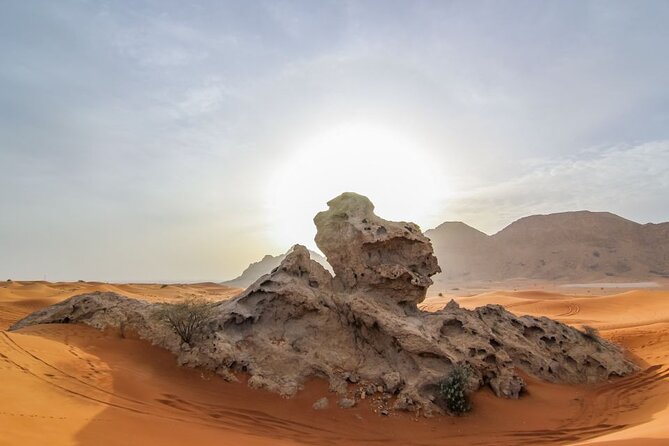 Morning Desert Safari With Honey Bee Garden - Tour Location