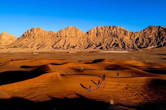 Morning Desert Safari With Honey Bee Tour