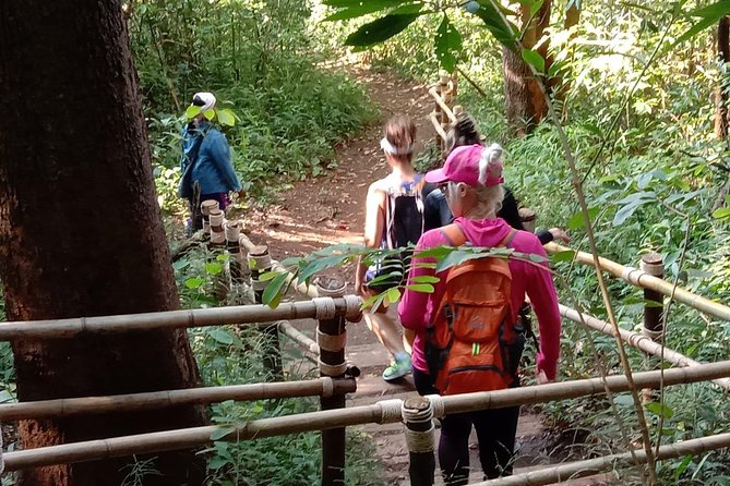 Morning Hiking Doi Inthanon Plus Pachor the Grand Canyon