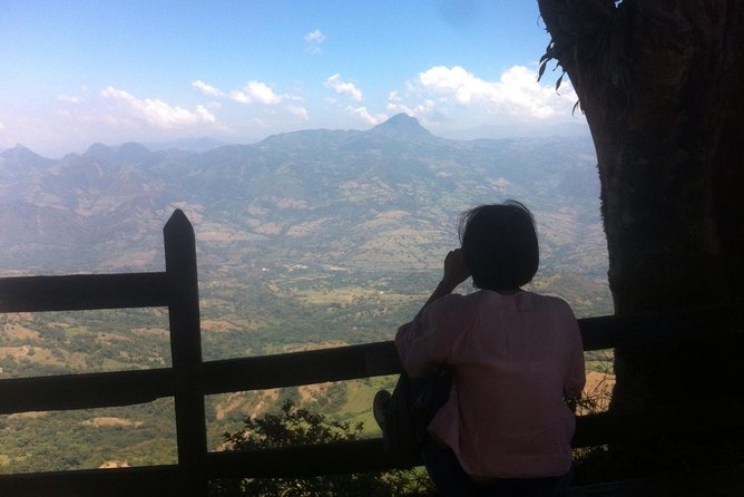 Mother Laura Coffee Tour of Jerico From Medellin