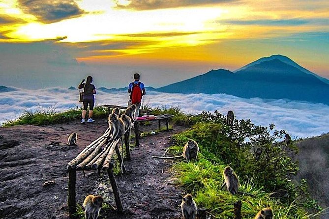 Mount Batur Sun Rise Trekking - Hot Spring Water - Coffee Plantation - Free WiFi - Inclusions: Air-Conditioned Vehicle, Bottled Water, Private Transportation, Wifi on Board, Local Trekking Guide