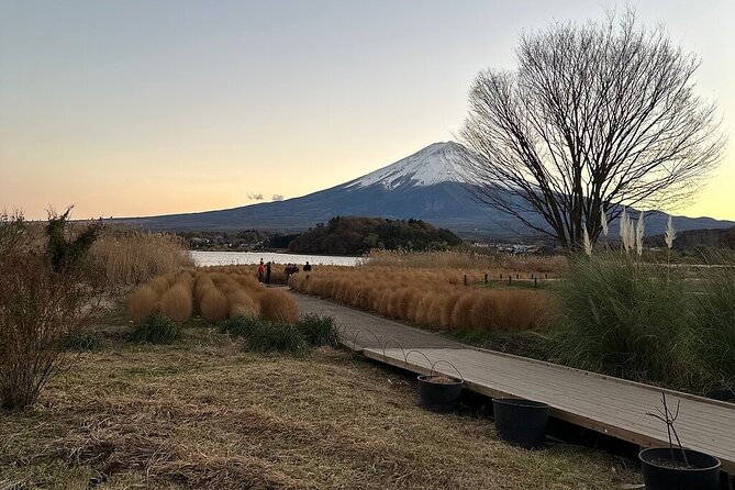 Mount Fuji Private Custom Day Trip With English Speaking Driver