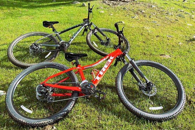 Mountain Bike Rental