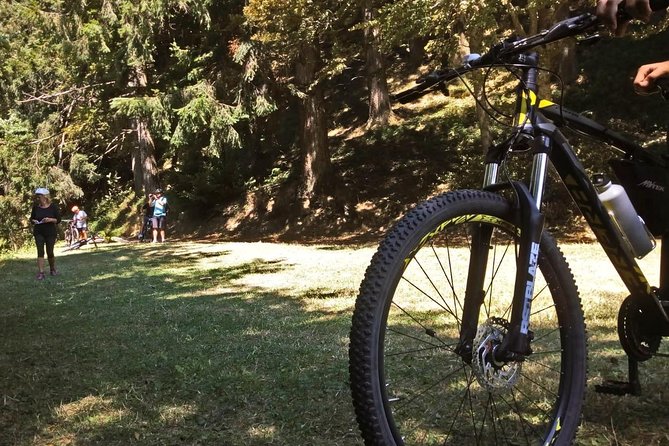 Mountain Biking in the Forest - Lucca, Italy - Location and Meeting Points