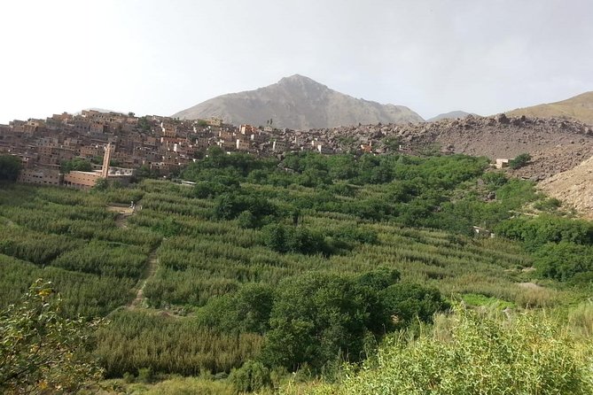Mountain Biking Over the Atlas Mountain 8 Days - Accommodation Details