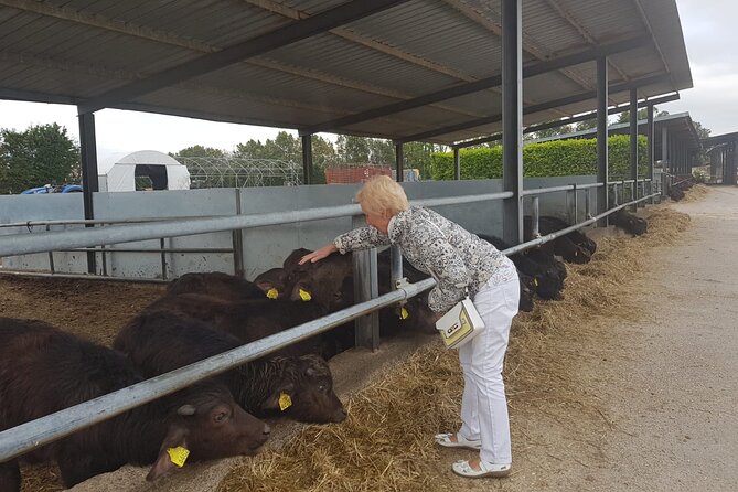 Mozzarella Experience in Paestum