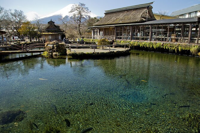 Mt FUJI Day Trip With Private Car and English Speaking Driver