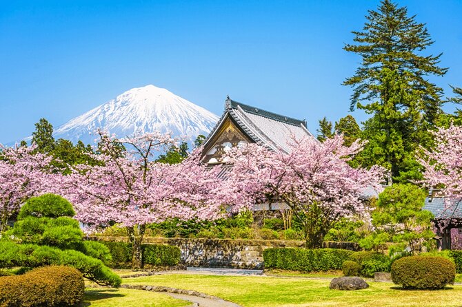 Mt. Fuji Tour in Lake Kawaguchi and Oshino Hakkai - Tour Overview