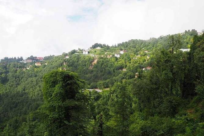 Mussoorie Heritage Walk | Kulri & Camel`s Back - End Point and Duration
