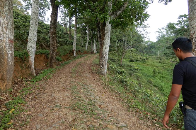 N Trekkers From Matale