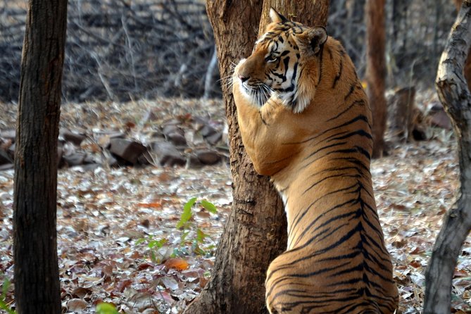 5 Best Tours In Nagpur