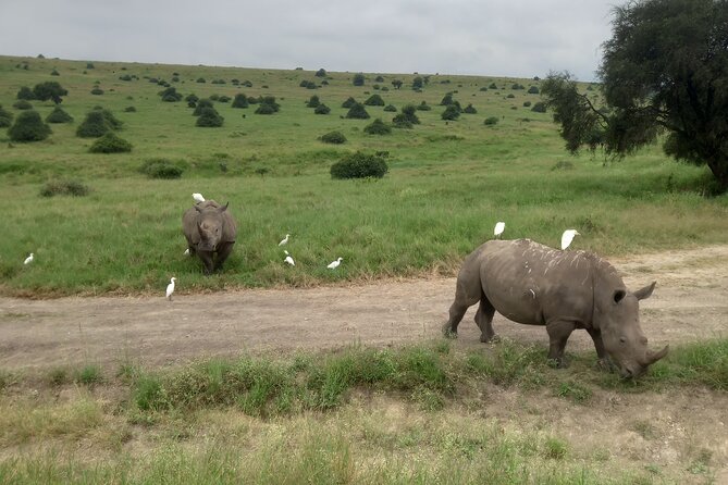 Nairobi Airport to Hotel Transfers With City Tour - Service Inclusions and Location