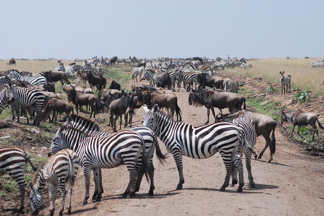 Nairobi City Tour & Coffee Safari