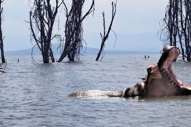 Nairobi Day Trip to Crescent Island Game Park From Lake Naivasha